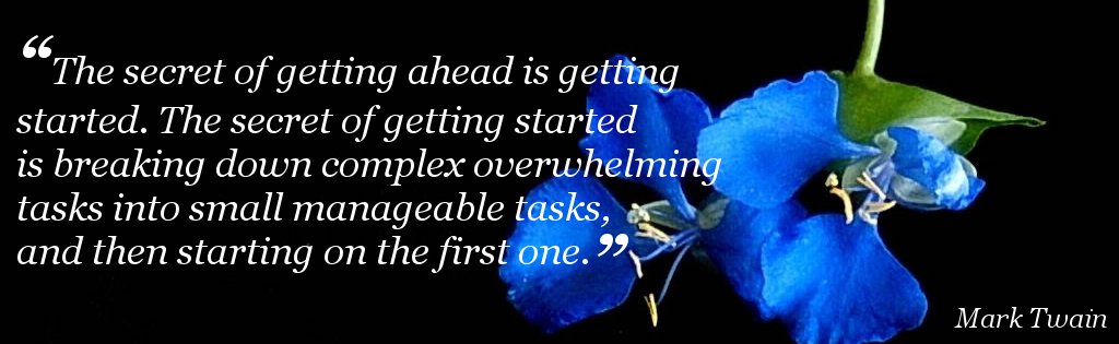 A blue flower stands out in a back background and sits next to a quote by Mark Twain that says “The secret of getting ahead is getting started. The secret of getting started is breaking down complex overwhelming tasks into small manageable tasks, and then starting on the first one.”